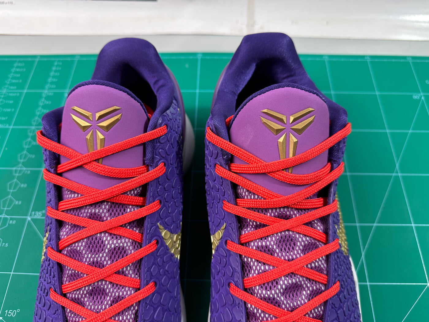 CHEETAH PE 6
