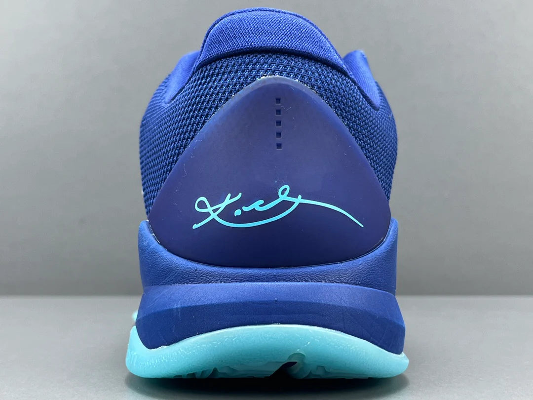 X-RAY 5