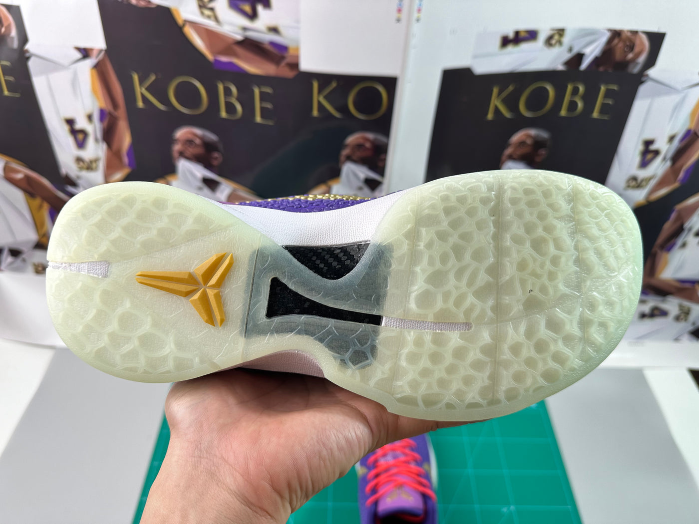 CHEETAH PE 6