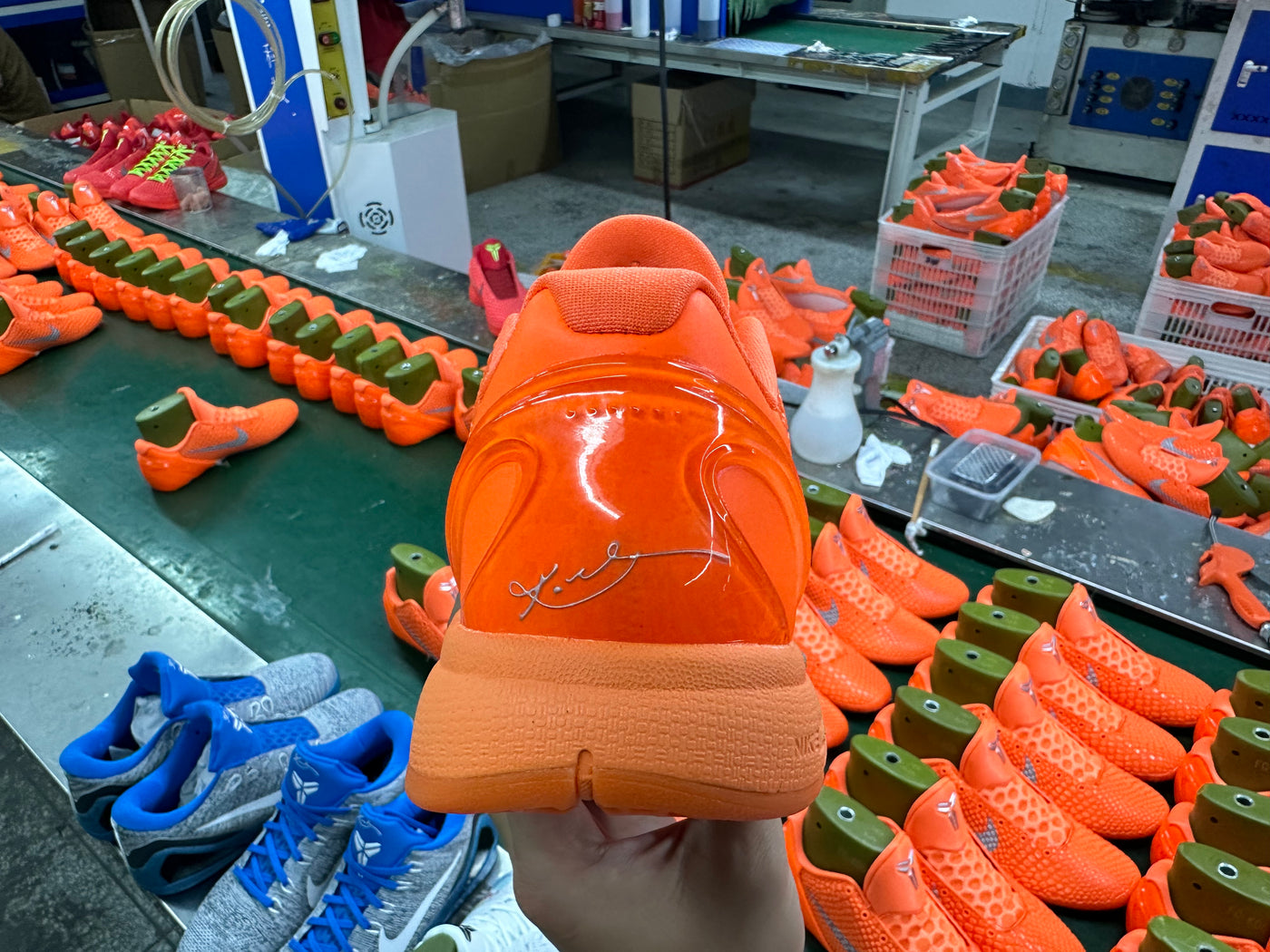 TOTAL ORANGE 6
